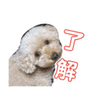 アロマの生活（個別スタンプ：11）