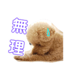 アロマの生活（個別スタンプ：12）