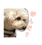 アロマの生活（個別スタンプ：13）