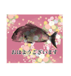鯛釣り。海釣り。釣り人。（個別スタンプ：1）