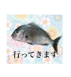 鯛釣り。海釣り。釣り人。（個別スタンプ：5）