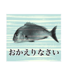 鯛釣り。海釣り。釣り人。（個別スタンプ：6）