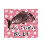 鯛釣り。海釣り。釣り人。（個別スタンプ：8）