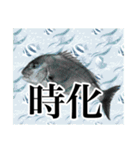 鯛釣り。海釣り。釣り人。（個別スタンプ：10）