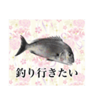 鯛釣り。海釣り。釣り人。（個別スタンプ：11）