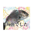 鯛釣り。海釣り。釣り人。（個別スタンプ：13）