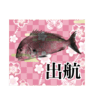 鯛釣り。海釣り。釣り人。（個別スタンプ：14）