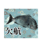 鯛釣り。海釣り。釣り人。（個別スタンプ：15）