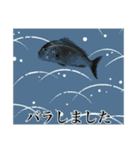 鯛釣り。海釣り。釣り人。（個別スタンプ：16）