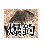 鯛釣り。海釣り。釣り人。（個別スタンプ：18）