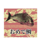 鯛釣り。海釣り。釣り人。（個別スタンプ：20）