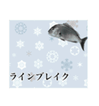 鯛釣り。海釣り。釣り人。（個別スタンプ：23）