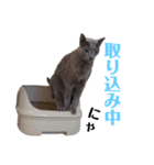 一言にゃ（個別スタンプ：2）