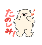 のほほんするシロクマ（個別スタンプ：17）
