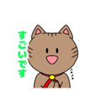 キジトラねこちゃん 敬語（個別スタンプ：12）