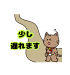 キジトラねこちゃん 敬語（個別スタンプ：19）