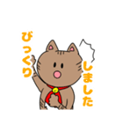 キジトラねこちゃん 敬語（個別スタンプ：36）