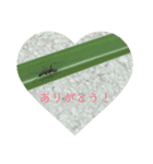 昆虫の気持ち①（個別スタンプ：2）