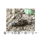 昆虫の気持ち①（個別スタンプ：5）