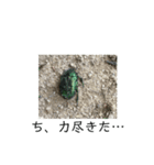 昆虫の気持ち①（個別スタンプ：6）