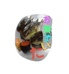 魚 龍 魚（個別スタンプ：3）