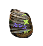 魚 龍 魚（個別スタンプ：5）
