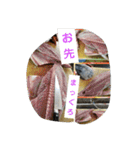 魚 龍 魚（個別スタンプ：10）