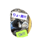 魚 龍 魚（個別スタンプ：12）