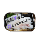 魚 龍 魚（個別スタンプ：18）