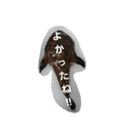 魚 龍 魚（個別スタンプ：21）
