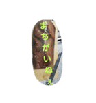 魚 龍 魚（個別スタンプ：24）