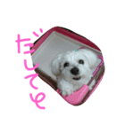 適当に作ってみただけw（個別スタンプ：5）