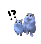 うちの猫たち(犬もいるよ)（個別スタンプ：5）