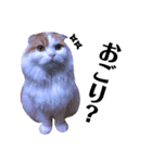 うちの猫たち(犬もいるよ)（個別スタンプ：30）