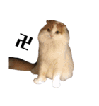 うちの猫たち(犬もいるよ)（個別スタンプ：35）