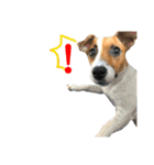 Arrow！！（個別スタンプ：8）