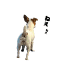 Arrow！！（個別スタンプ：10）