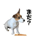 Arrow！！（個別スタンプ：12）