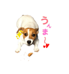 Arrow！！（個別スタンプ：14）