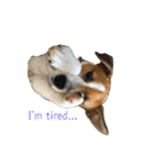 Arrow！！（個別スタンプ：17）