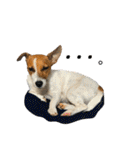 Arrow！！（個別スタンプ：18）