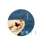 Arrow！！（個別スタンプ：22）
