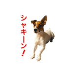 Arrow！！（個別スタンプ：32）