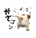 Arrow！！（個別スタンプ：35）