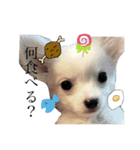 EluとEve（個別スタンプ：3）
