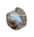 メイちゃんの気持ち（個別スタンプ：6）