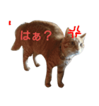 メイちゃんの気持ち（個別スタンプ：10）