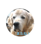 Rond2000（個別スタンプ：8）