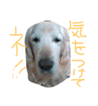 Rond2000（個別スタンプ：9）