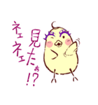 大阪のインコくん Ver.2（個別スタンプ：9）